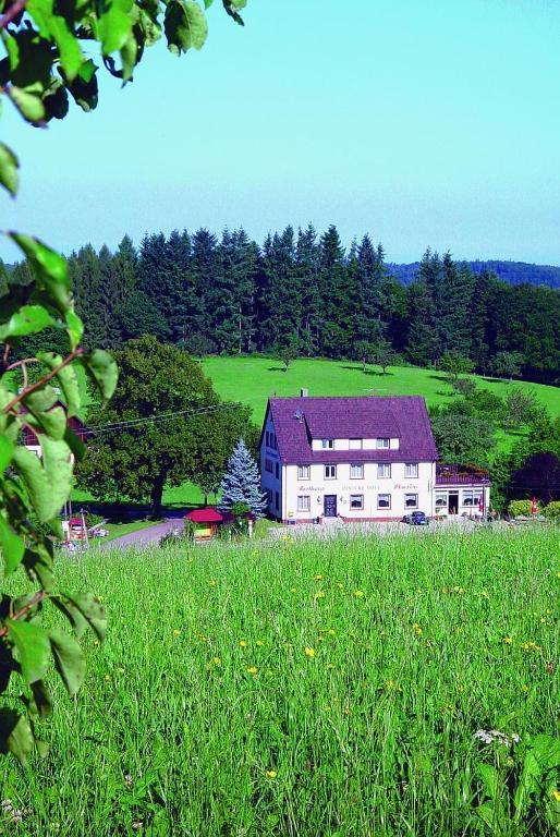 Gasthaus und Pension Hintere Höfe Freiamt Exterior foto